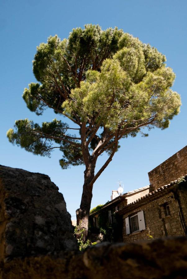 Les Maisons Mado Venasque Luaran gambar